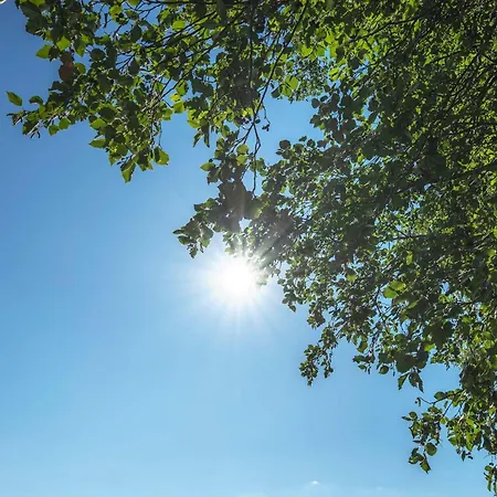 Slobrua Riggen Motel